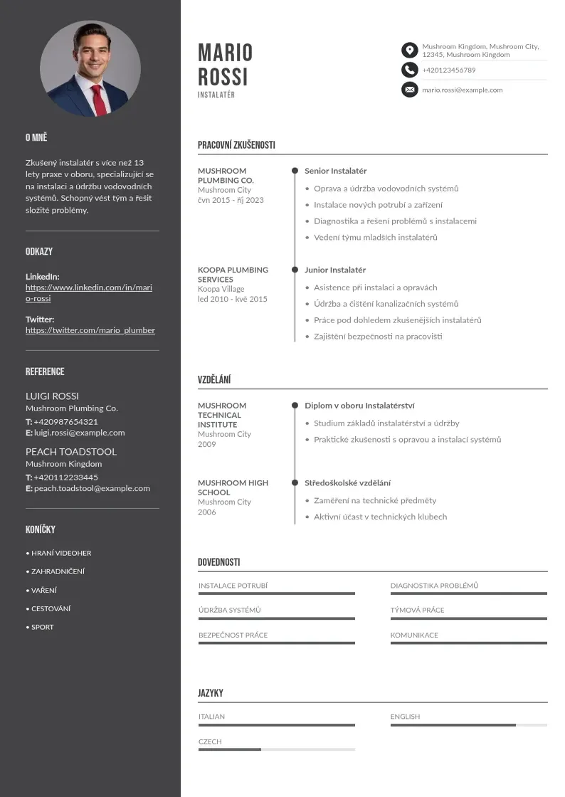 Divu kolonnu Instalater zivotopis CV piemērs