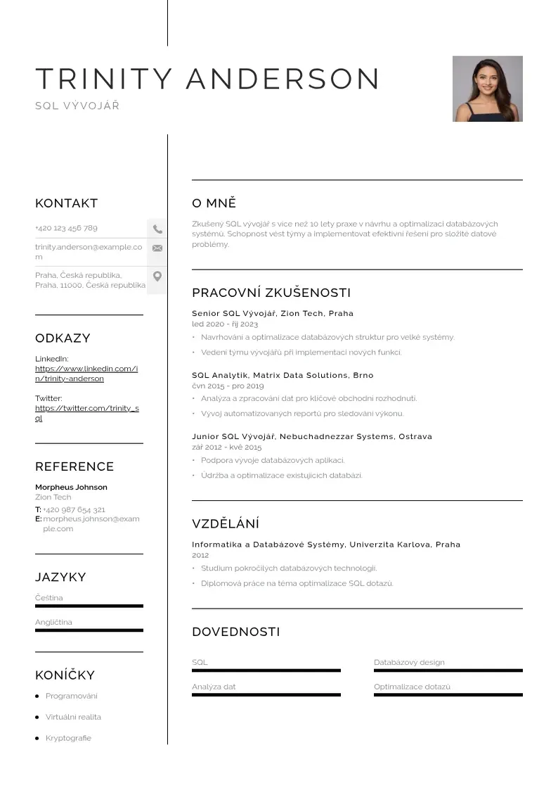 Vienkārša Vyvojar sql zivotopis CV piemērs