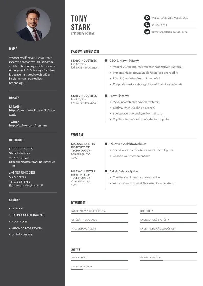 Divu kolonnu Systemoveho inzenyra zivotopis CV piemērs