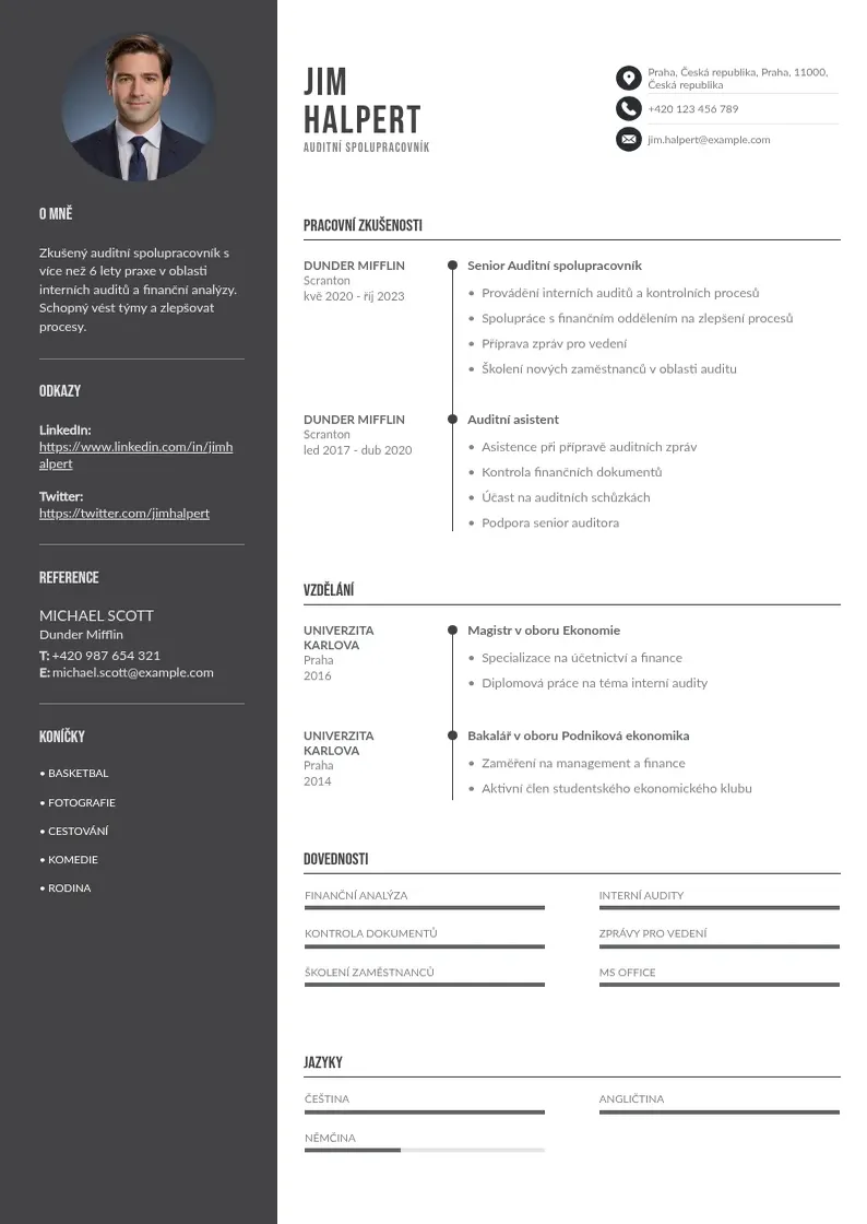 Divu kolonnu Auditní spolupracovník  CV piemērs