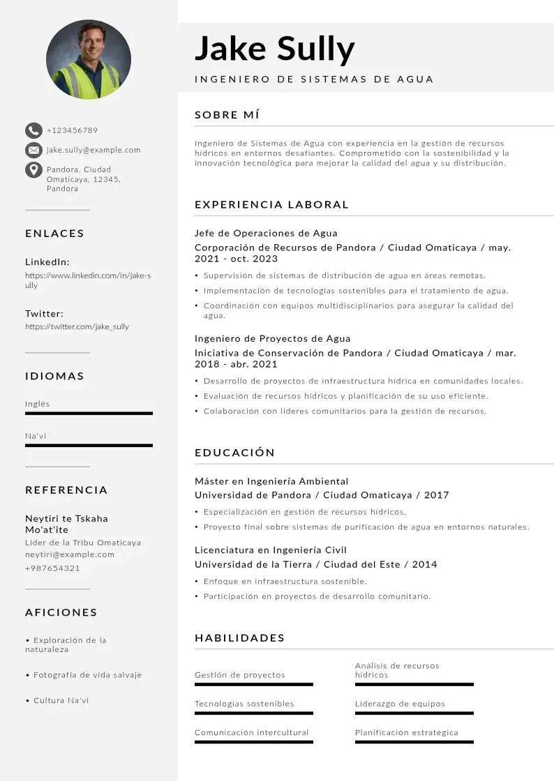 two column ingeniero-de-sistemas-de-agua resume example
