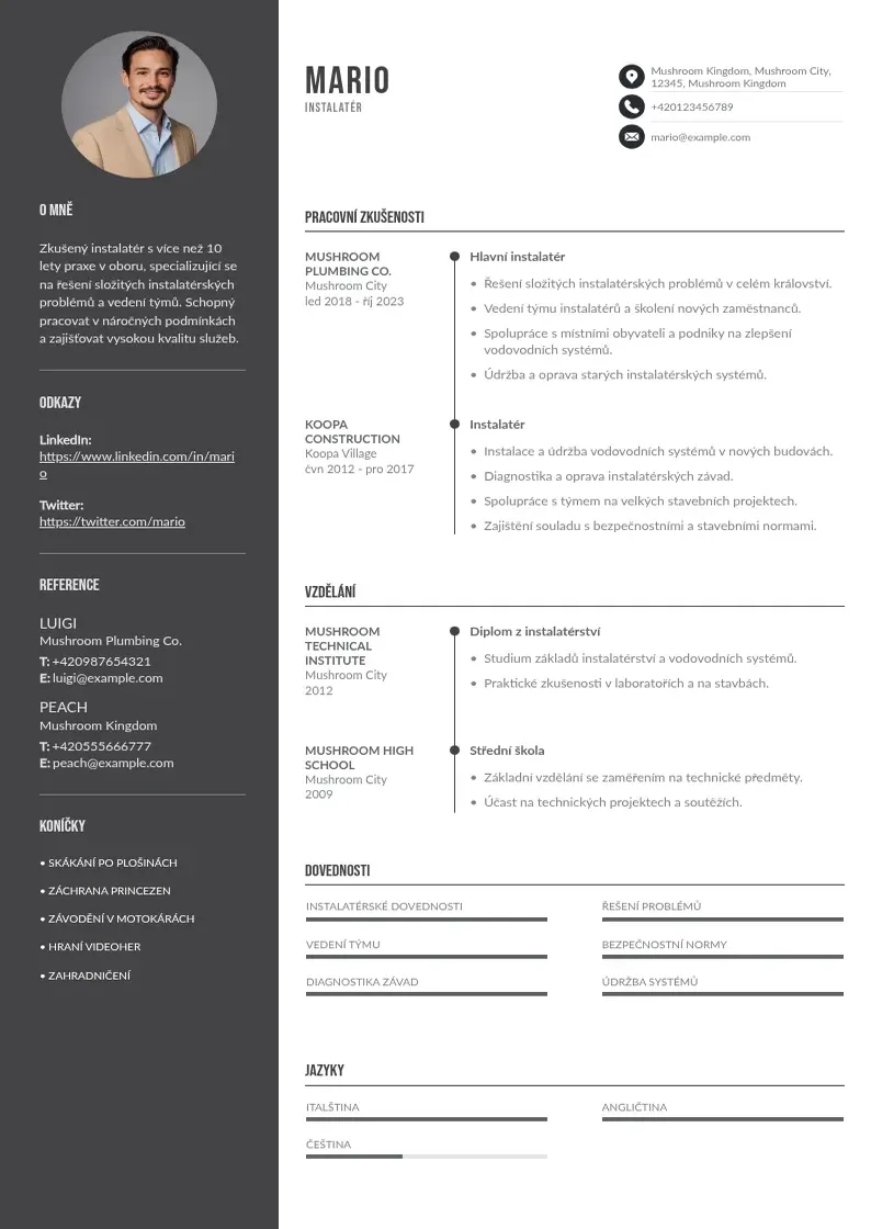 Divu kolonnu Zivotopis instalatera CV piemērs