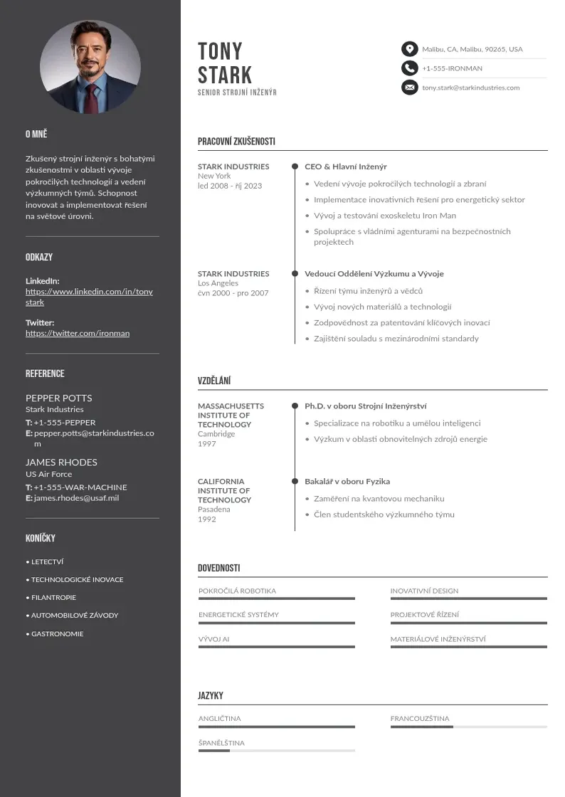 Divu kolonnu Senior strojni inzenyr zivotopis CV piemērs