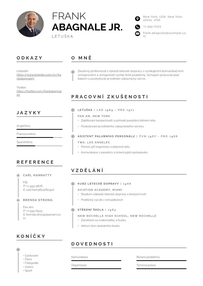 Profesionāla Zivotopis letuska CV veidne