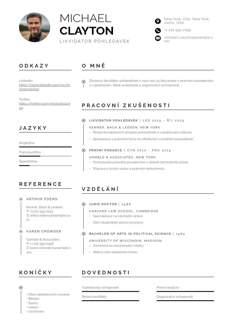 Profesionāla Likvidator pohledavek zivotopis CV veidne