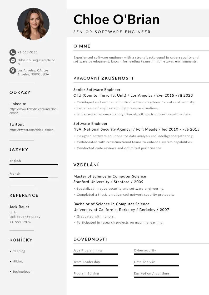 Mūsdienīga Senior softwarovy inzenyr zivotopis CV veidne