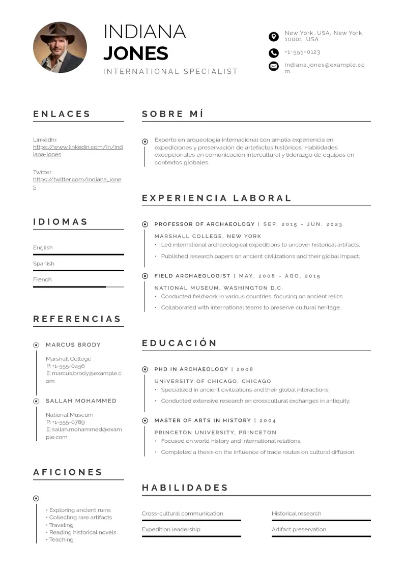 two column internacional resume example