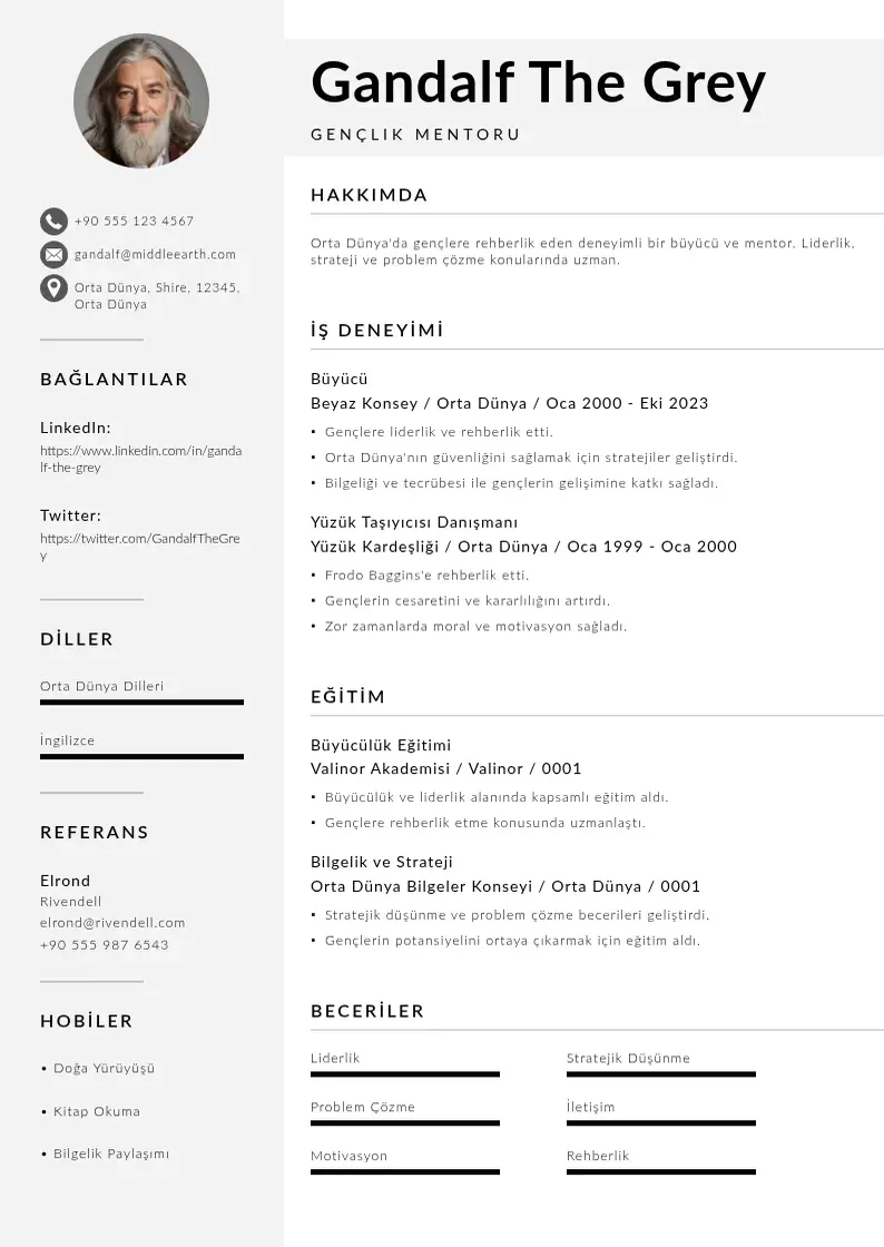 Mūsdienīga Gençlik Mentoru  CV veidne