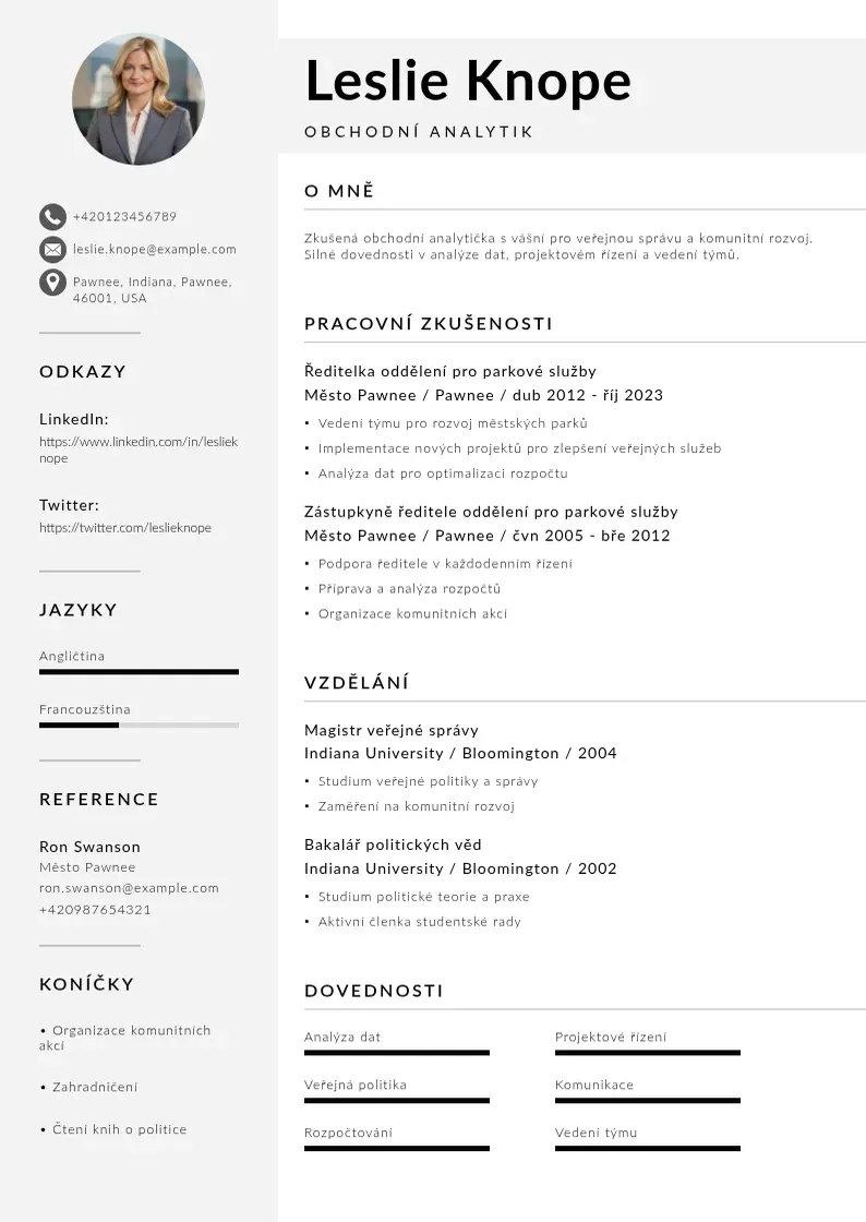 Mūsdienīga Obchodni analytik zivotopis CV veidne