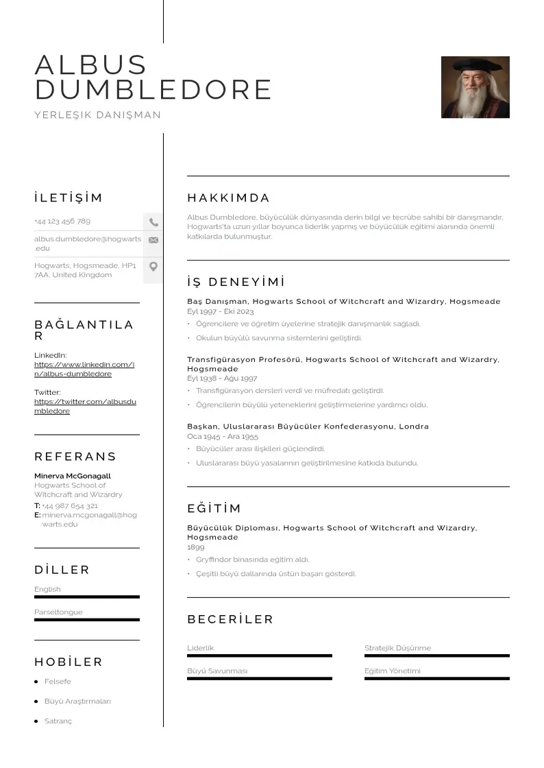 Vienkārša Yerleşik Danışman  CV piemērs