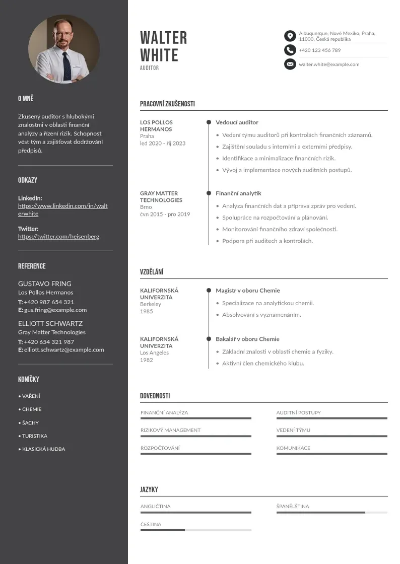 Divu kolonnu Zivotopis auditora CV piemērs