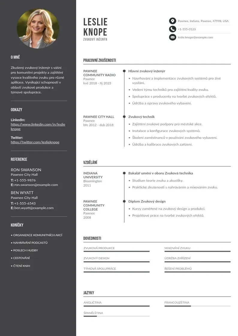 Divu kolonnu Zvukovy inzenyr zivotopis CV piemērs