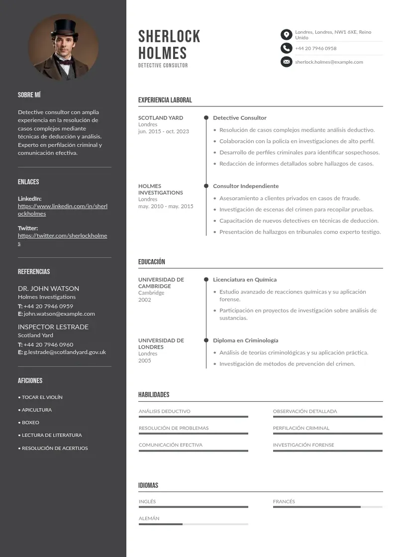 two column cv-experto resume example