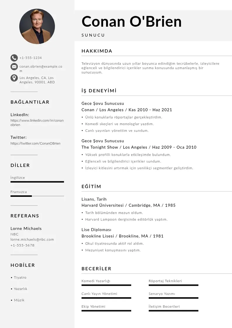 Mūsdienīga Sunucu ozgecmis CV veidne