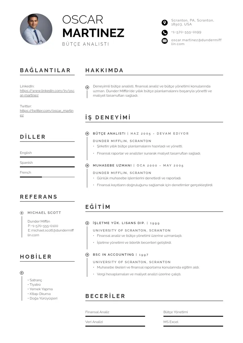 Profesionāla Bütçe analisti  CV veidne