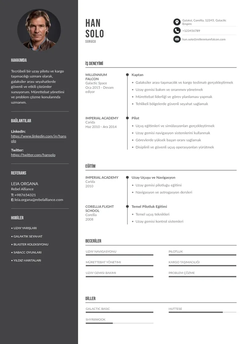 Divu kolonnu Surucu CV piemērs