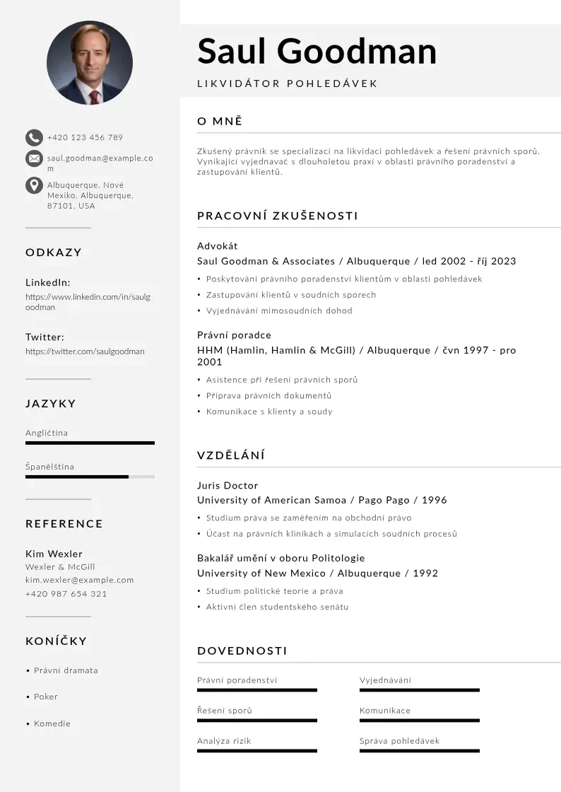 Mūsdienīga Likvidator pohledavek zivotopis CV veidne