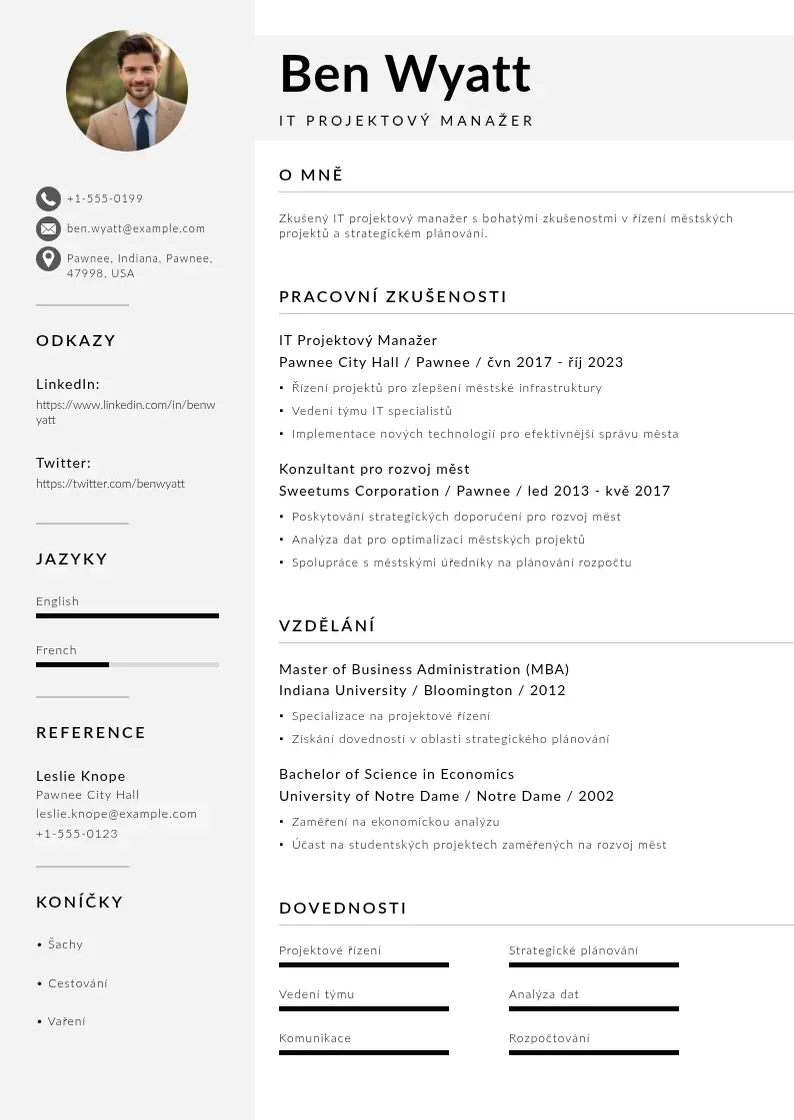 Mūsdienīga Zivotopis it projektoveho manazera CV veidne