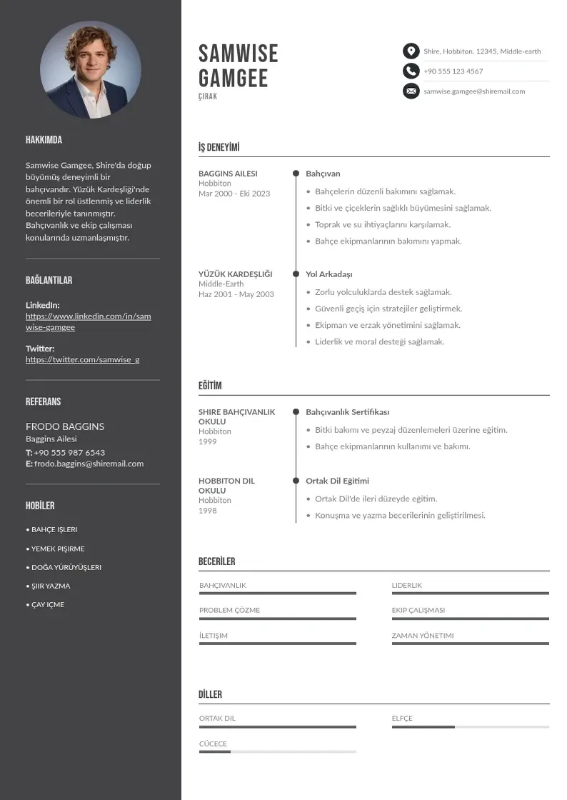 Divu kolonnu Çırak  CV piemērs