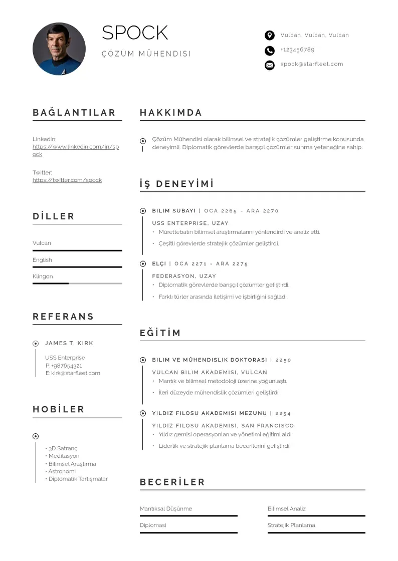 Profesionāla Çözüm Mühendisi  CV veidne