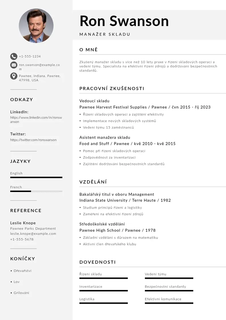 Mūsdienīga Manazer skladu zivotopis CV veidne