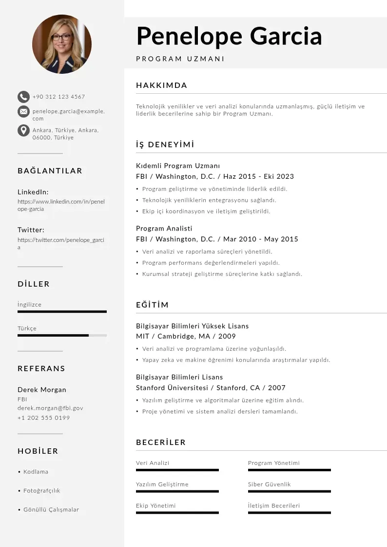Mūsdienīga Program Uzmanı  CV veidne
