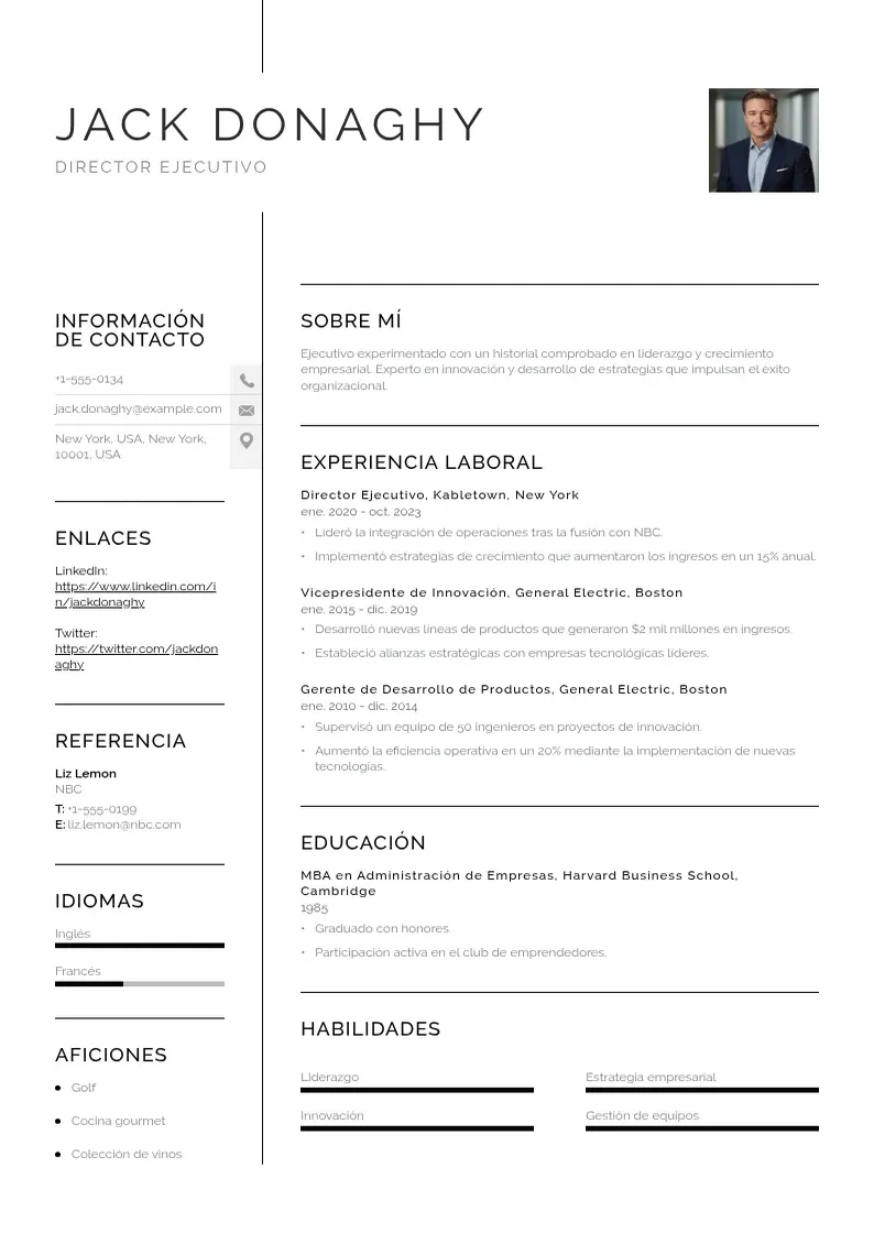 two column cv-director-ejecutivo resume example