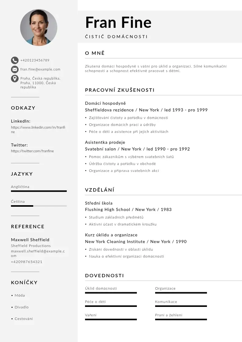 Mūsdienīga Čistič domácnosti CV veidne