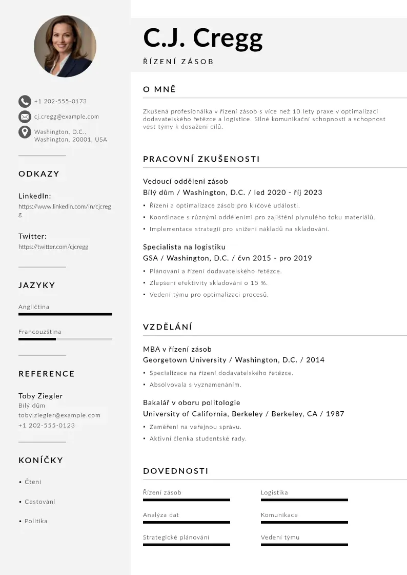 Mūsdienīga Rizeni zasob zivotopis CV veidne