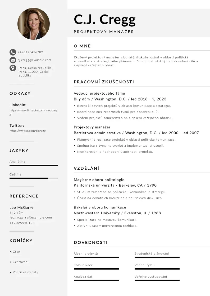 Mūsdienīga Projektovy manazer zivotopis CV veidne