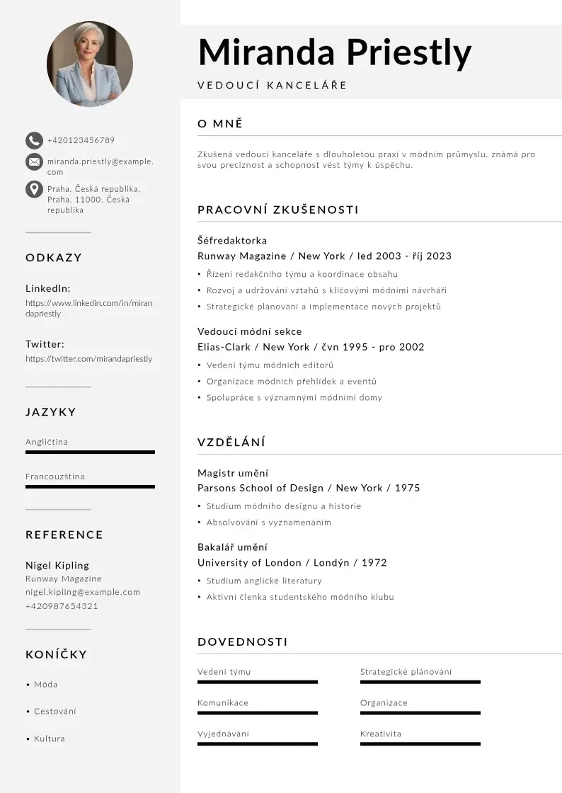 Mūsdienīga Vedouci kancelare  CV veidne