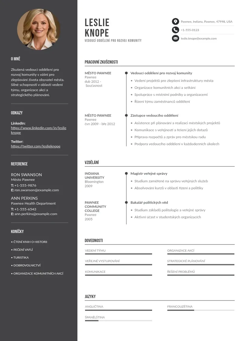 Divu kolonnu Zivotopis v anglictine CV piemērs