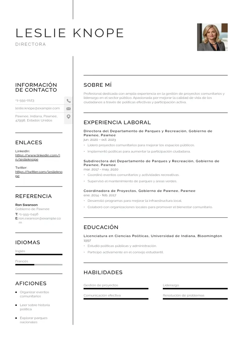 two column cv-director resume example