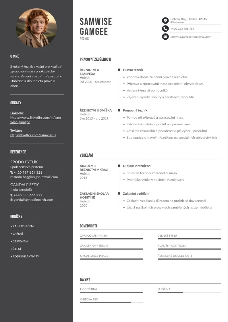 Divu kolonnu Zivotopis reznik CV piemērs