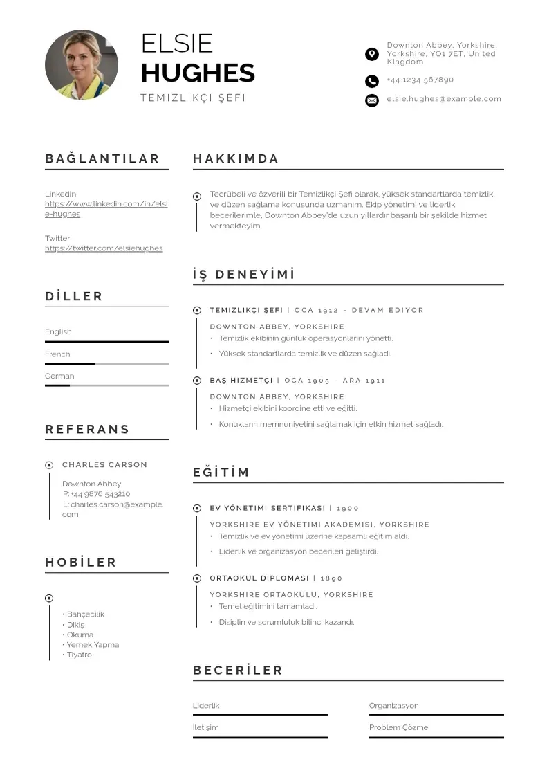 Profesionāla Temizlikçi Şefi  CV veidne