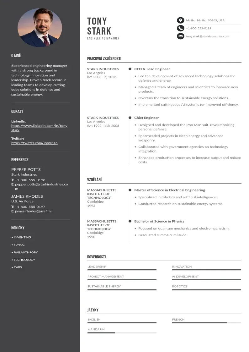 Divu kolonnu Inzenyrskeho manazera zivotopis CV piemērs
