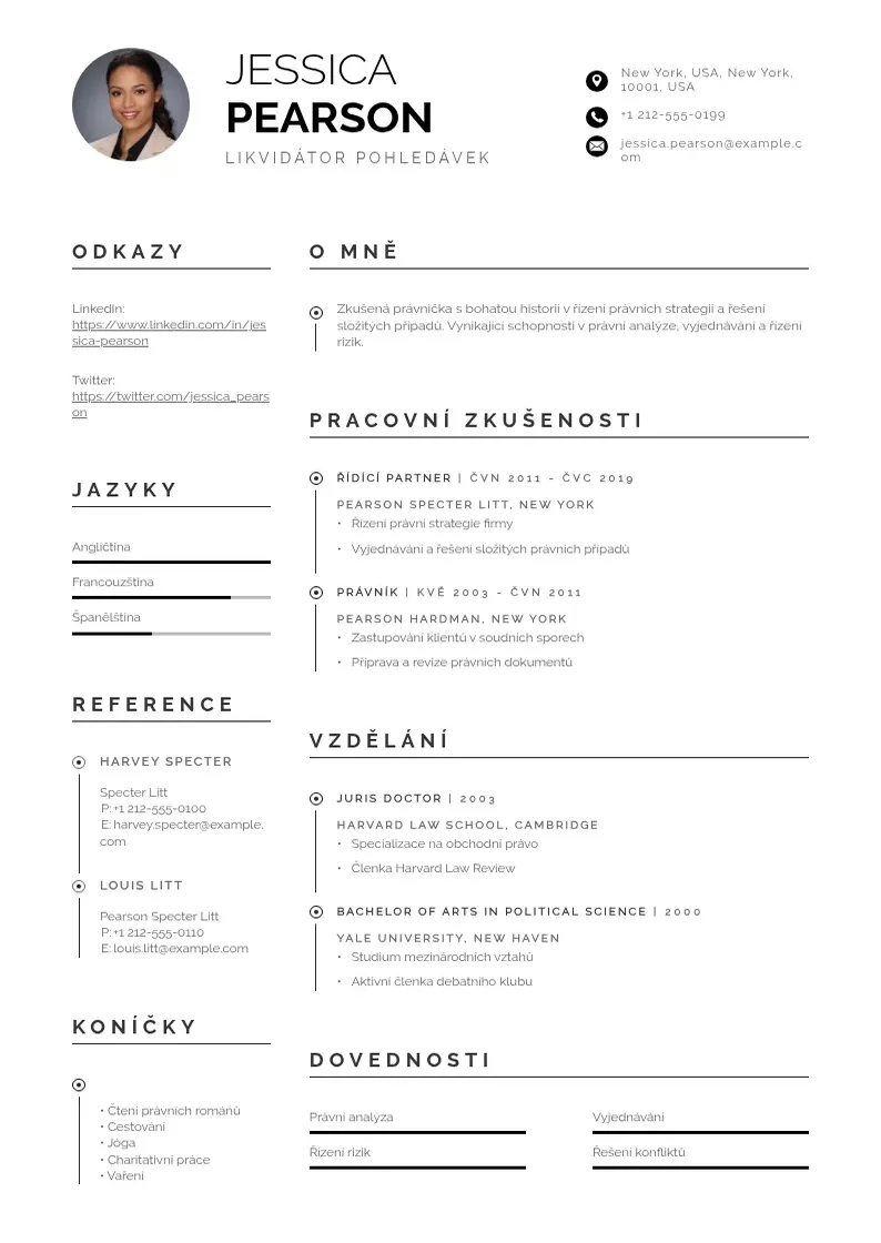 Profesionāla Likvidator pohledavek zivotopis CV veidne