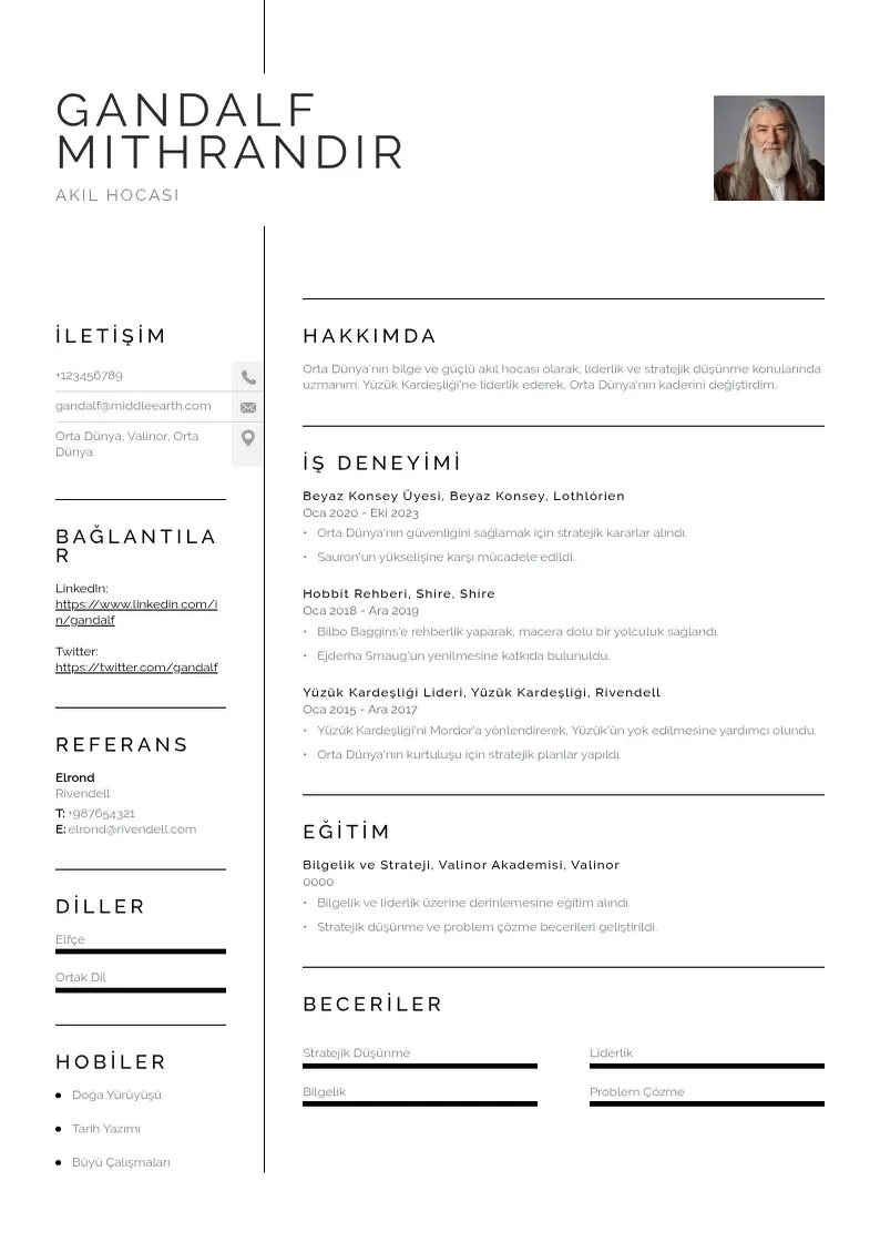 Vienkārša akıl hocası  CV piemērs