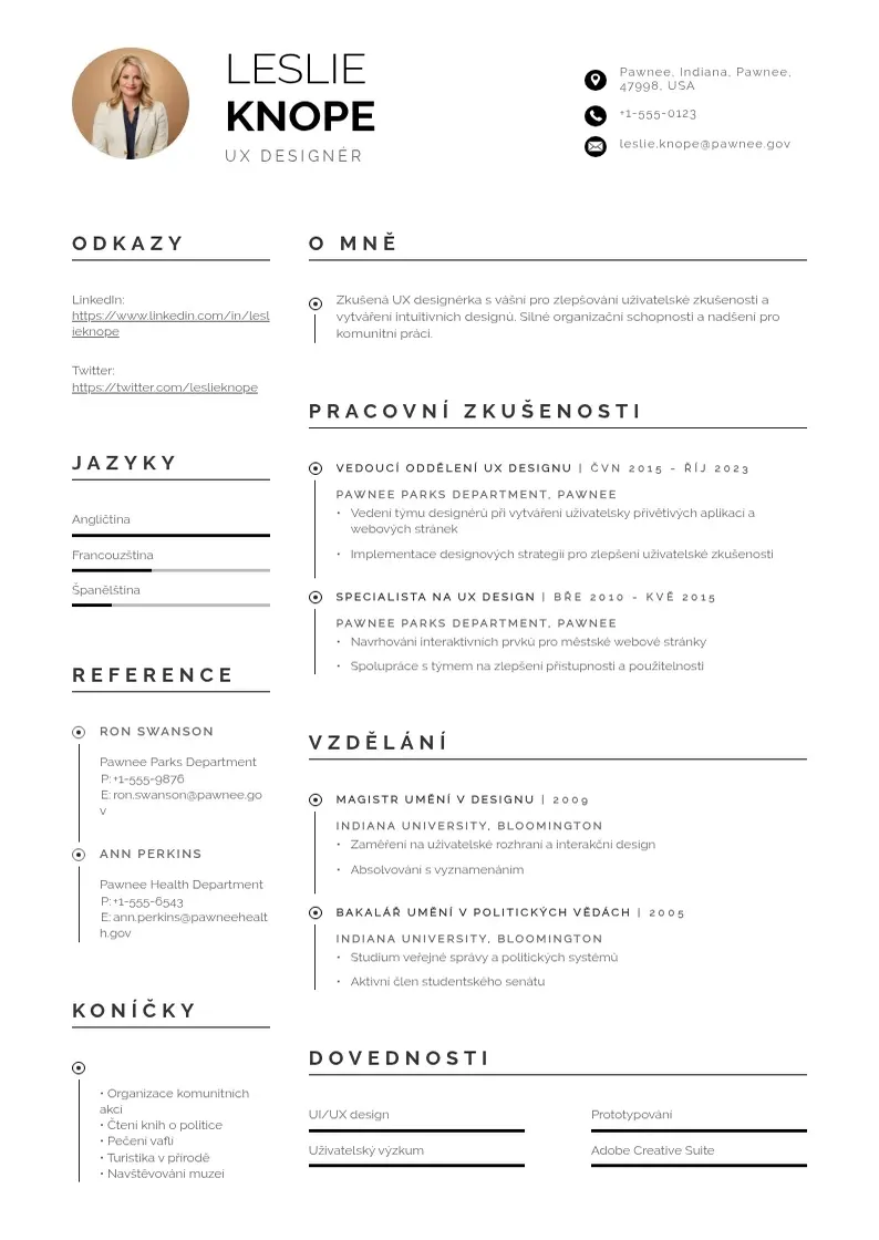 Profesionāla Ux designera zivotopis CV veidne
