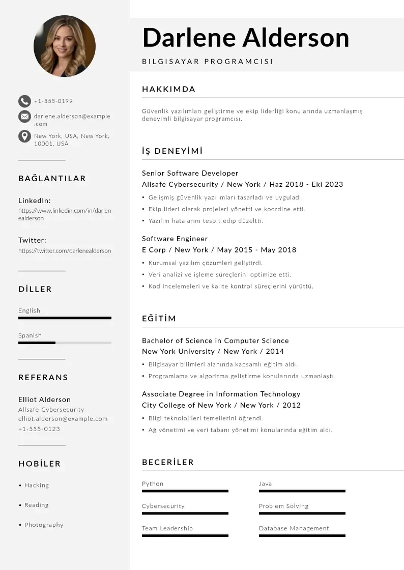 Mūsdienīga Bilgisayar programcısı  CV veidne