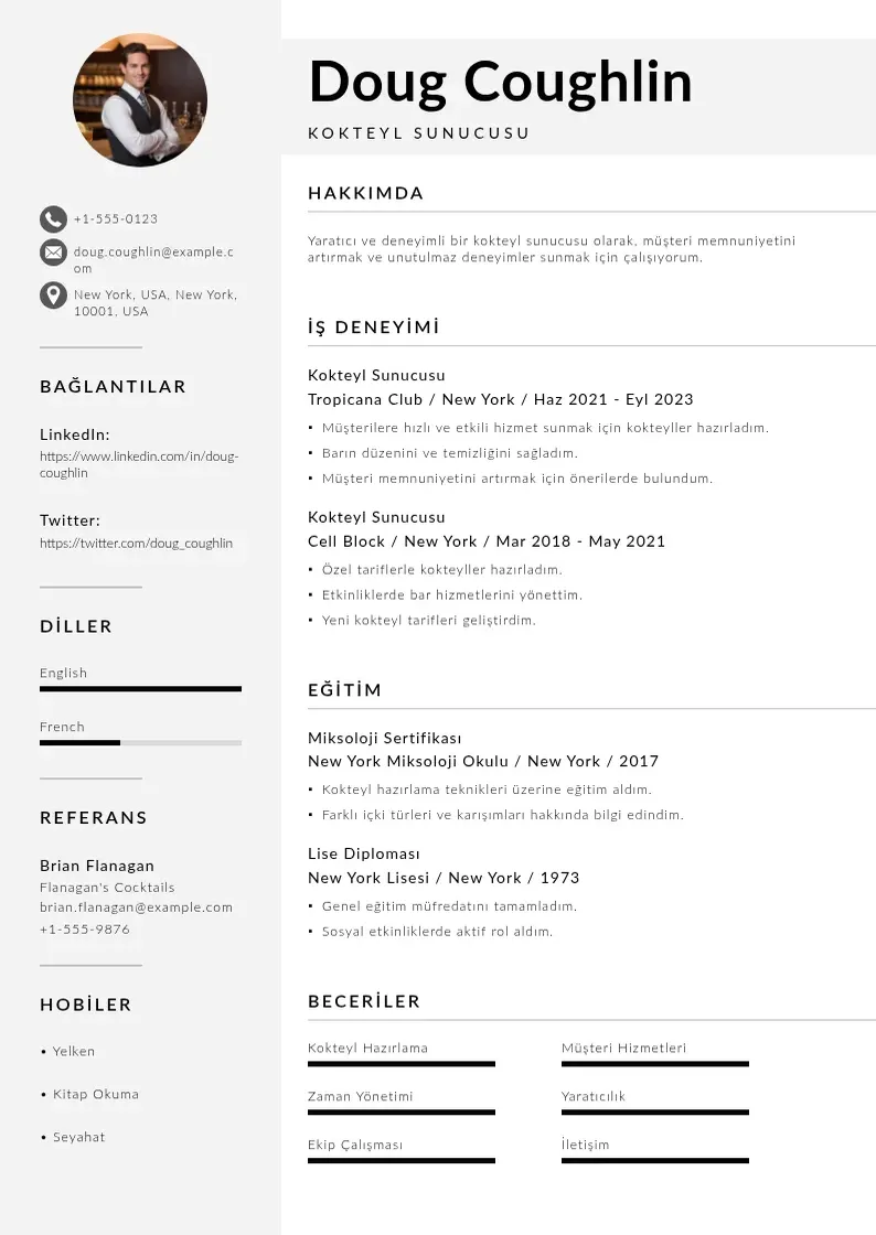 Mūsdienīga Kokteyl Sunucusu  CV veidne