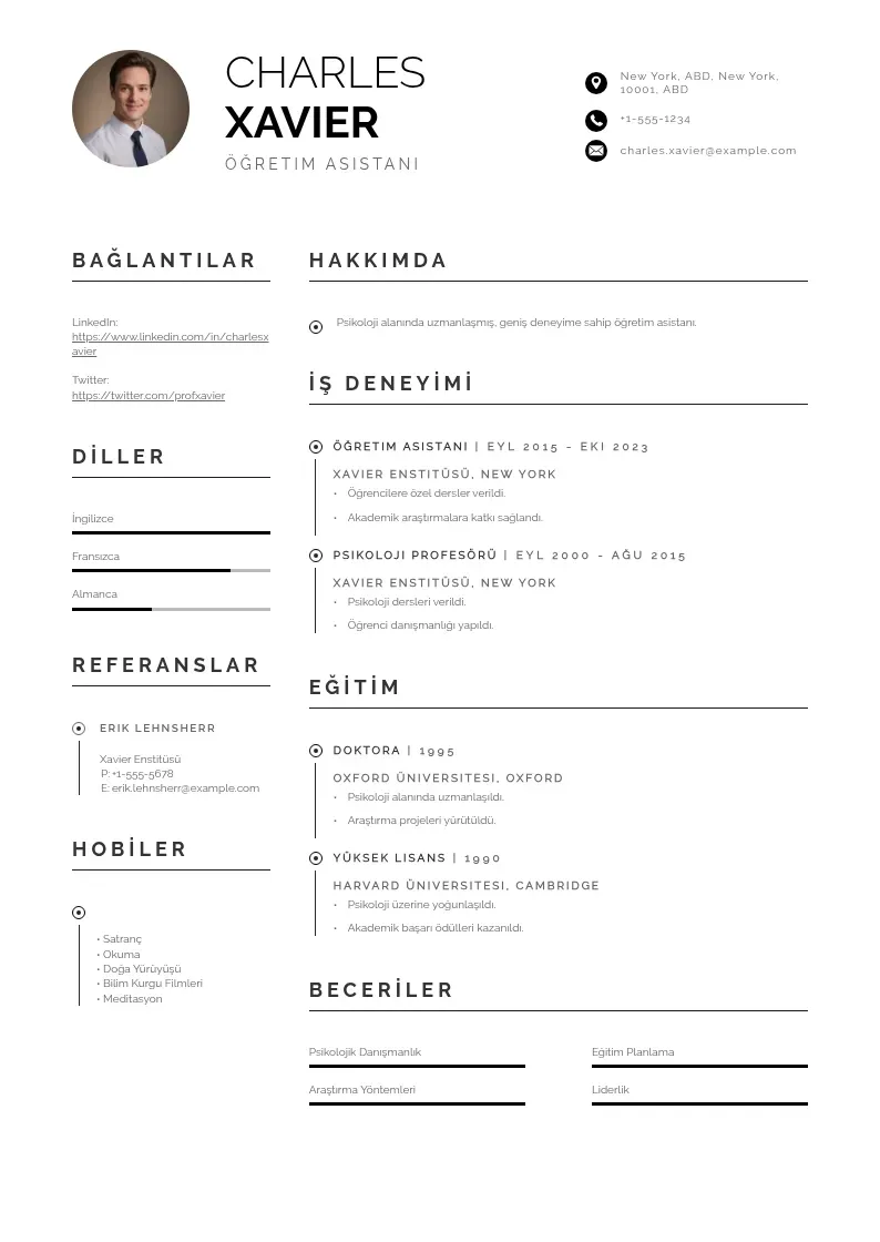 Profesionāla Ogretim asistani ozgecmis CV veidne