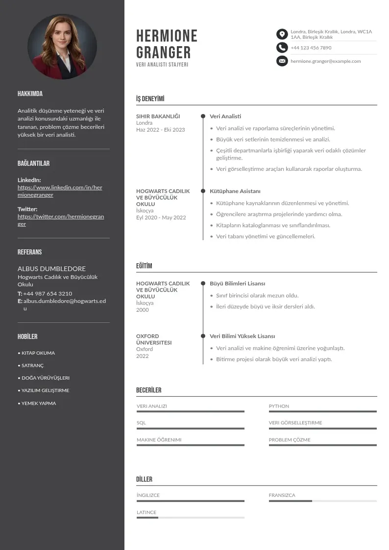 Divu kolonnu Veri Analisti Stajyeri  CV piemērs