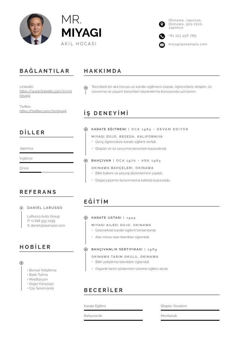 Profesionāla akıl hocası  CV veidne
