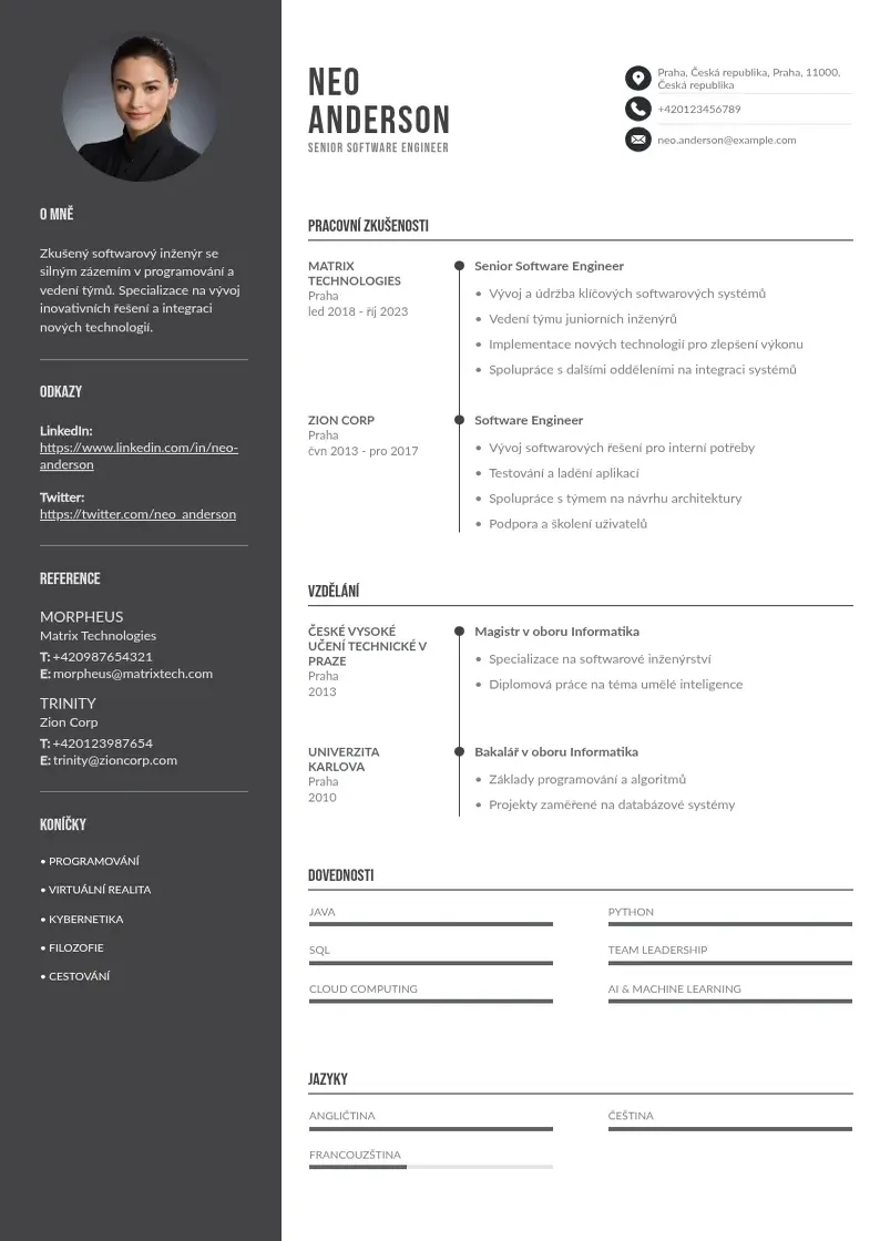 Divu kolonnu Senior softwarovy inzenyr zivotopis CV piemērs