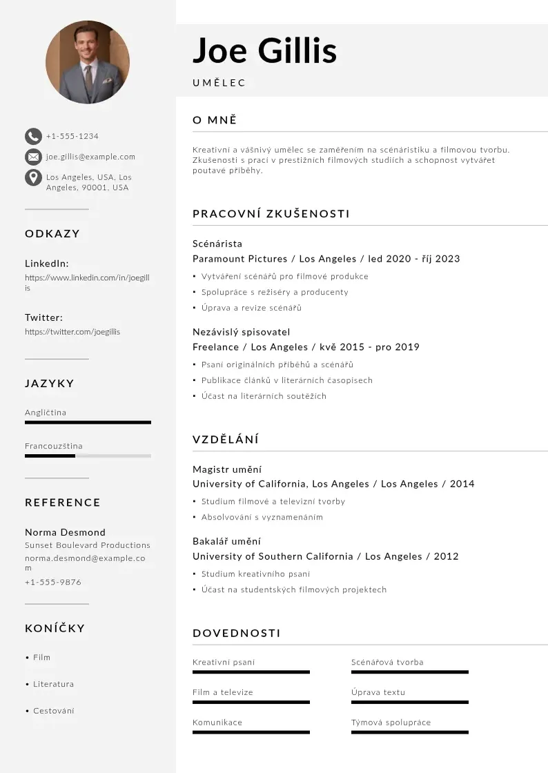 Mūsdienīga Umelec zivotopis CV veidne