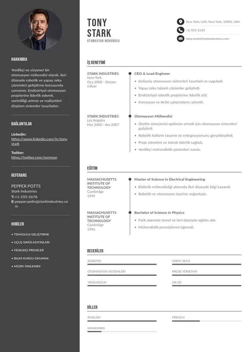 Divu kolonnu Otomasyon mühendisi  CV piemērs