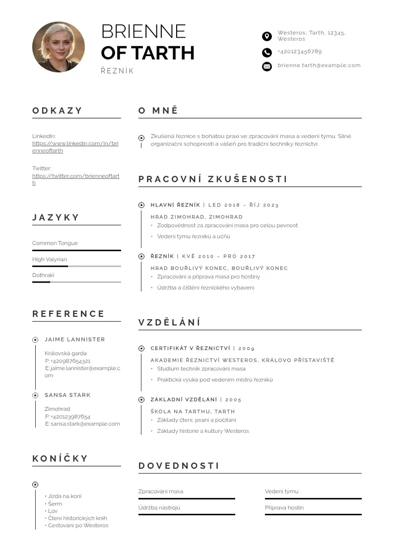 Profesionāla Zivotopis reznik CV veidne