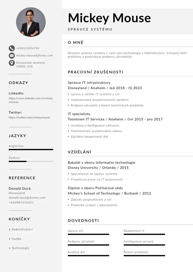 Mūsdienīga Spravce systemu zivotopis CV veidne