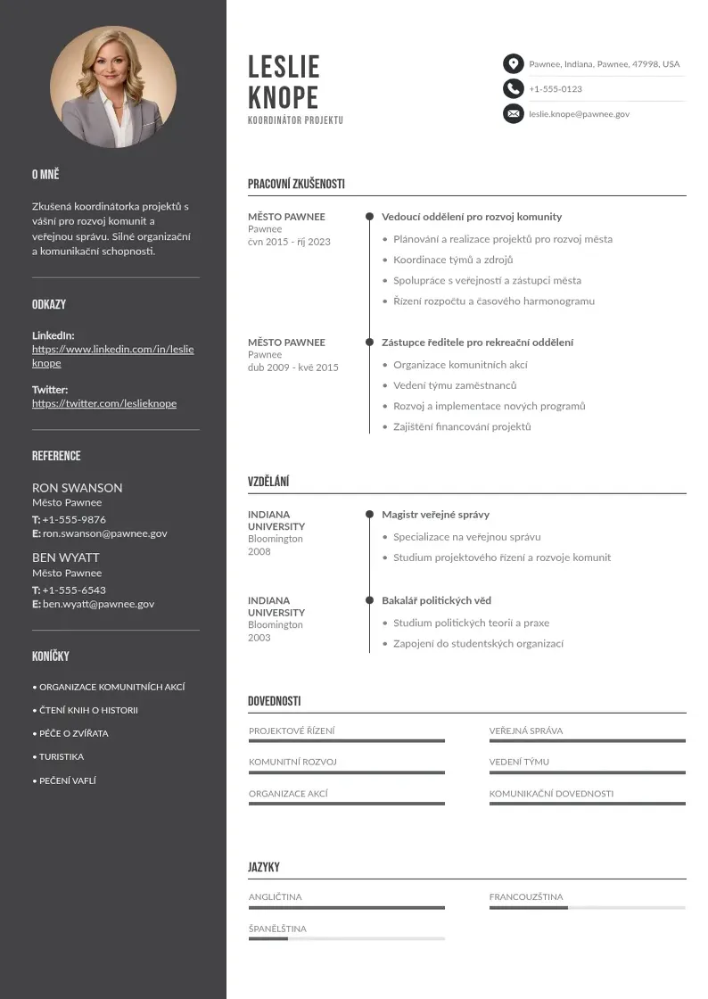 Divu kolonnu Zivotopis koordinatora projektu CV piemērs